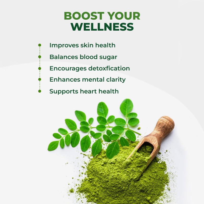 Moringa Powder Manufacturer - BioFlex China Supplier Wholesale Bulk OEM Private Label Flavoured