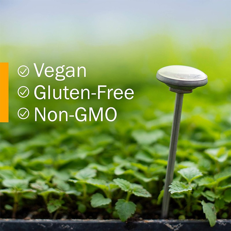 Turmeric Drops Manufacturer - OEM Private Label Certified Organic Turmeric Curcumin Extract Liquid