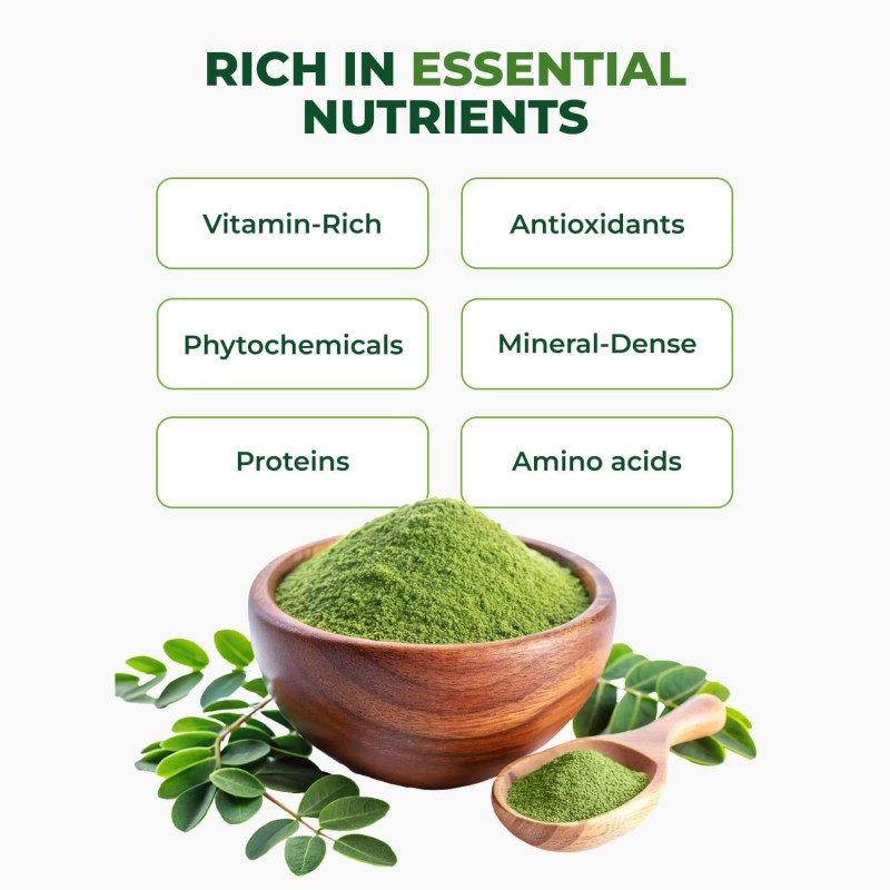 Moringa Powder Manufacturer - BioFlex China Supplier Wholesale Bulk OEM Private Label Flavoured