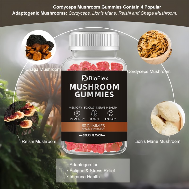 Shilajit Resin Manufacturer - Wholesale OEM Private Label Organic Pure Himalayan Gold Resin