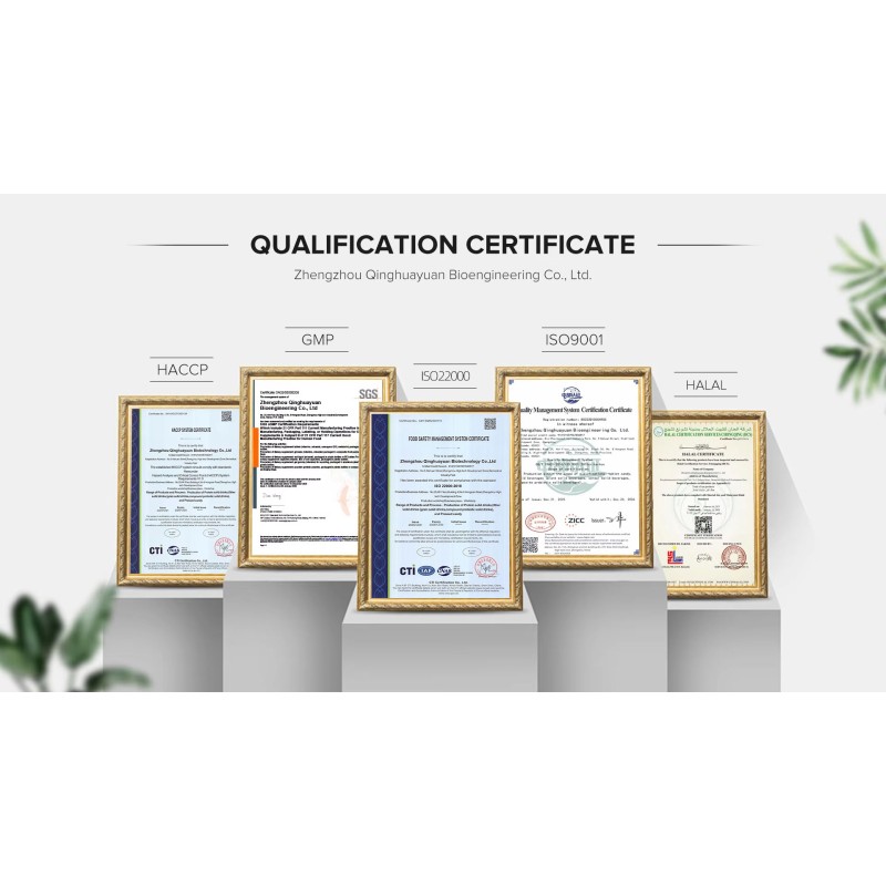 Creatine Powder Manufacturer - Private Label Micronized Creatine Powder Nutrition Healthcare