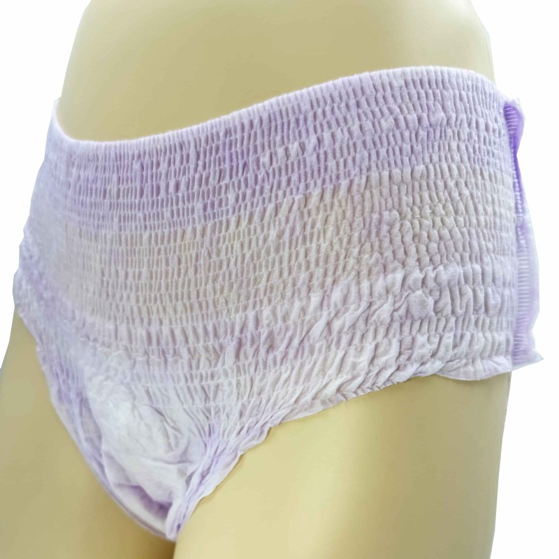 Sanitary Pants Supplier - Women's Panties Disposable Sleep Lady Menstrual