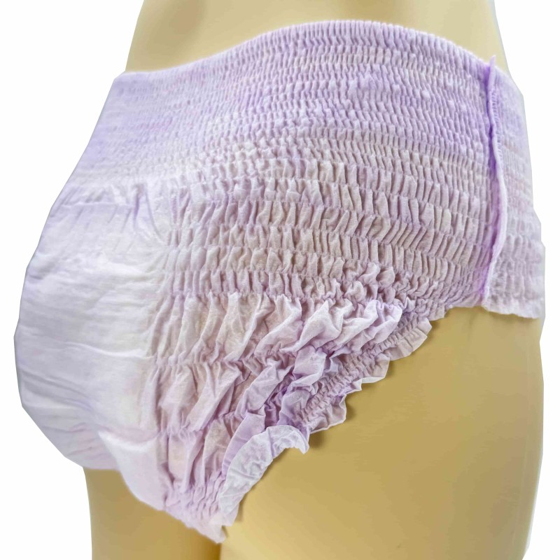 Sanitary Pants Supplier - Women's Panties Disposable Sleep Lady Menstrual