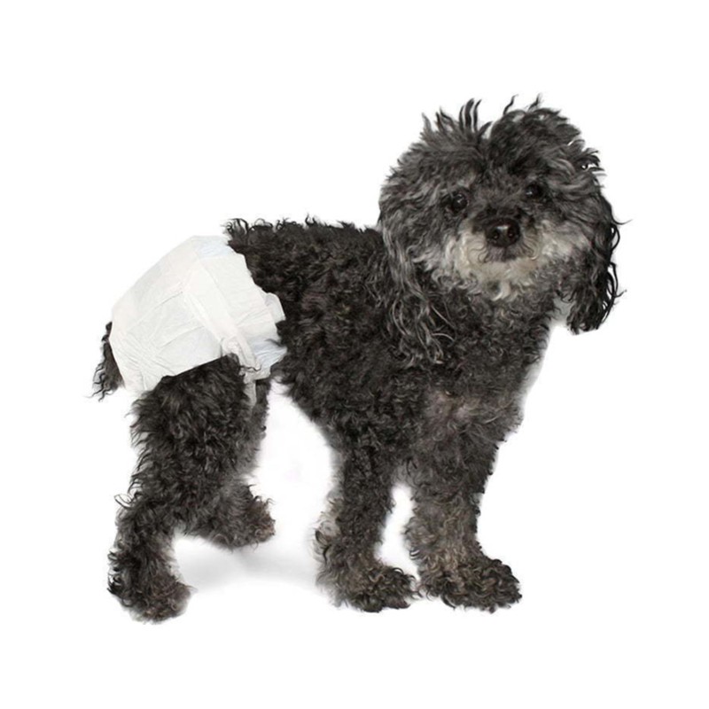 Pet Training Pads Manufacturer - Training Pad Pet Puppy Disposable Diaper Pad