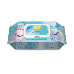 Wet Wipes Manufacturer - A+ Flushable Household Toilet Spunlace Material 15x20cm Cleaning