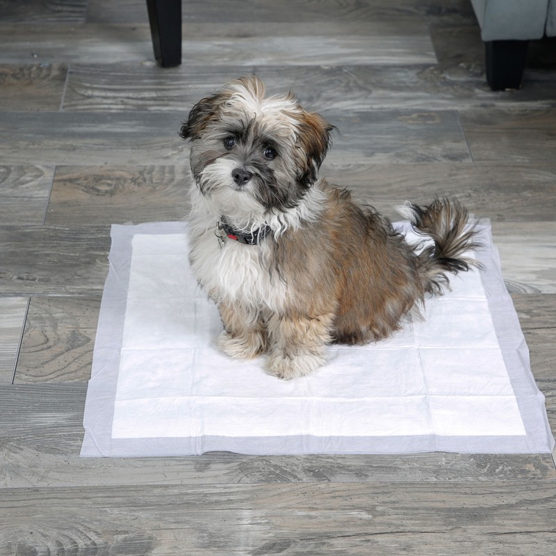 Pet Pads Manufacturer - Pet Pee Pad Urine Pad Dog Cage Crate Kennel Mat Wholesale
