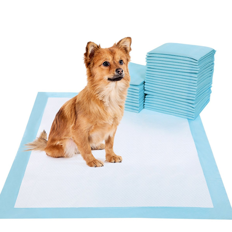 Pet Under Pads Manufacturer - Best Sell Animal Urine Absorbent Pet Under Pads Wholesale