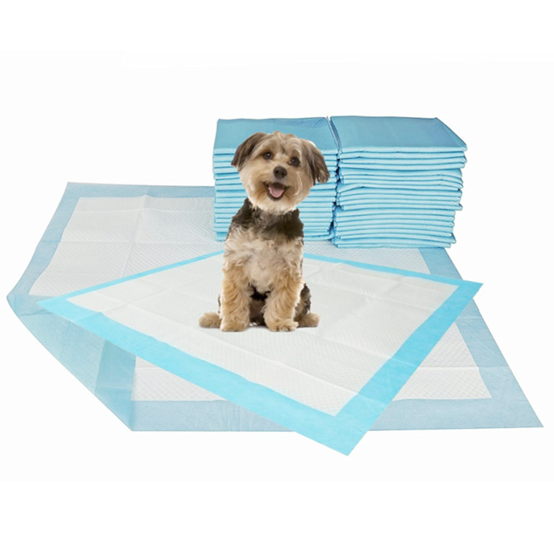 Pet Under Pads Manufacturer - Best Sell Animal Urine Absorbent Pet Under Pads Wholesale