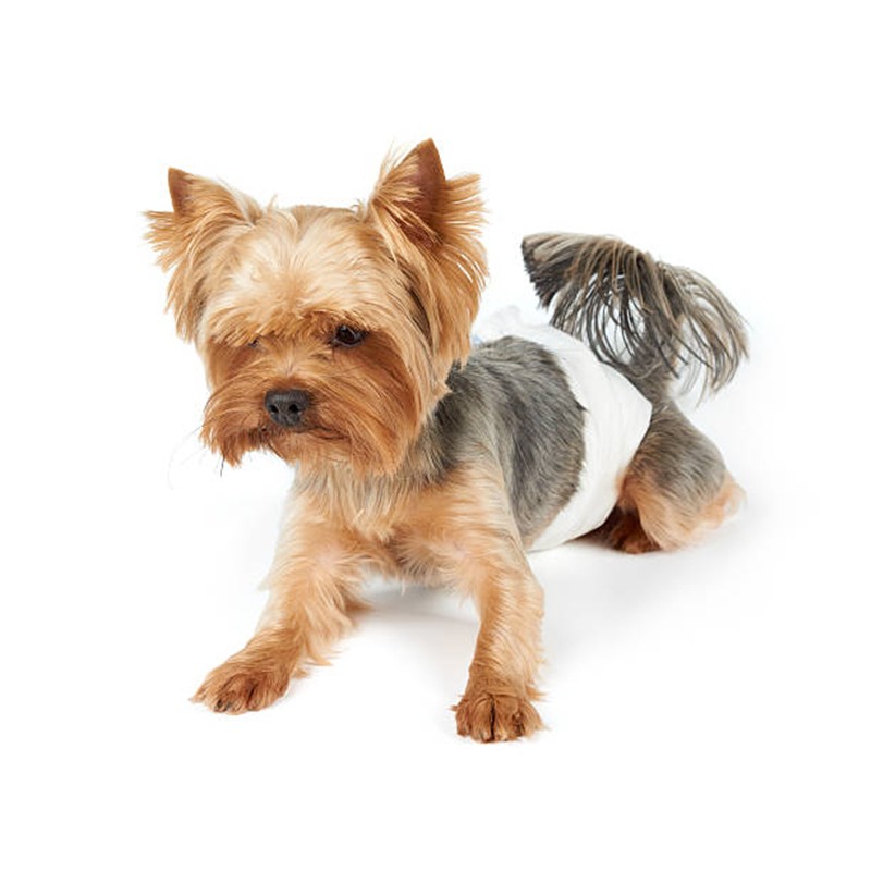 Pet Training Pads Manufacturer - Training Pad Pet Puppy Disposable Diaper Pad