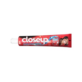 Toothpaste Manufacturer - CLOSEUP EVER FRESH TOOTHPASTE 145ML