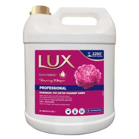 Hand Soap Manufacturer - LUX PROFESSIONAL HAND WASH PINK TEMPTING 5L