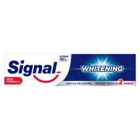Toothpaste Manufacturer - Export Unilever Signal Toothpaste 100ML