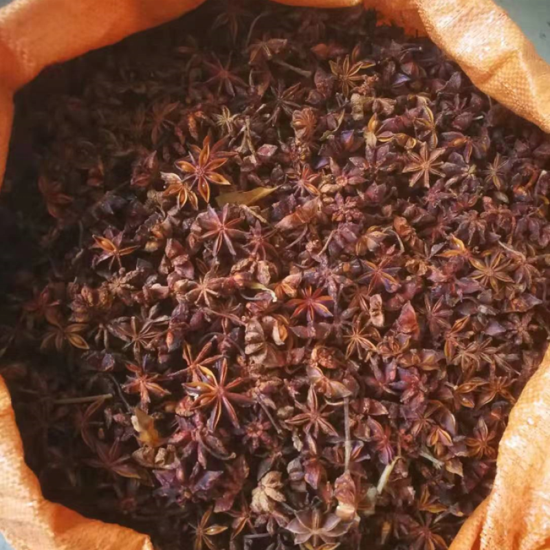 X021 Ba Jiao China Whole Star Anise Dried Spice Seasoning Star Aniseed Without Sulfur
