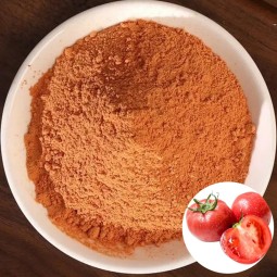 D029P Wholesale 100% Natural Dried Tomato Powder Food Grade Vegetable Dehydrated Bulk Packaging