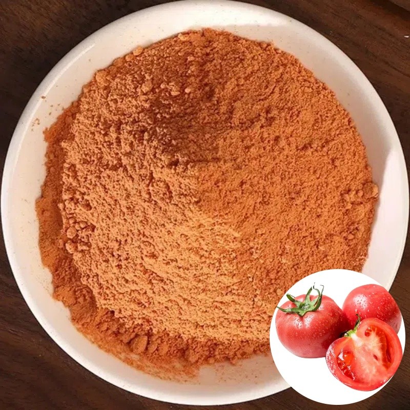 D029P Wholesale 100% Natural Dried Tomato Powder Food Grade Vegetable Dehydrated Bulk Packaging
