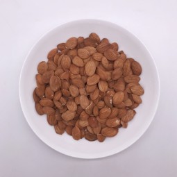 2208 Shan Tao Ren High Quality Peach Semen Shelled Dried Peach Kernel for Sale