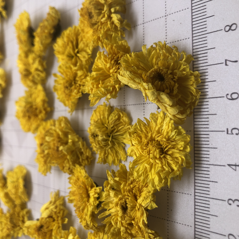 4022W Flavor Tea Soaked 4cm Wuyuan Imperial Chrysanthemum Golden Chrysanthemum Tea Herbal Tea