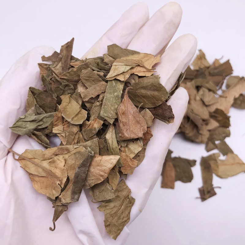 7022 Chi Geng Teng High Quality Wholesale Bulk Dried Gymnema Leaves Herbal Tea Gymnema Sylvestre Leaves