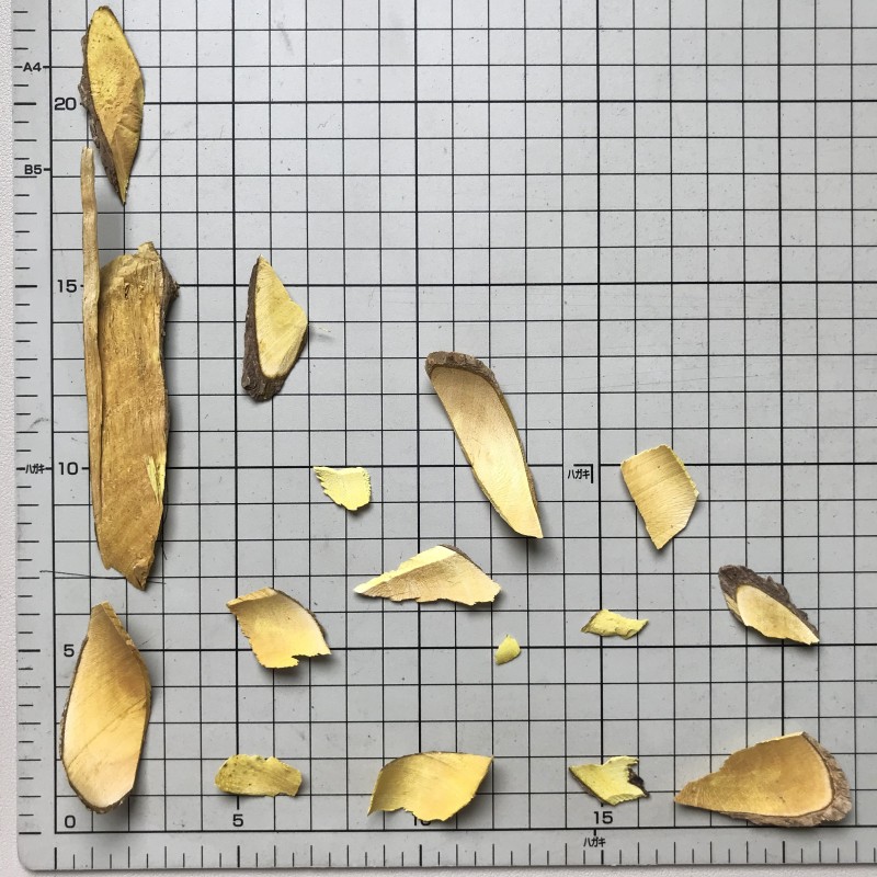 1180 Xiao Bo High Quality Berberis Vulgrais Slices Barberry Root Dried Chinese Herbs Raw Processing Air Dried