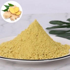 D024P Bulk Price Hot Sales Spices Single Herbs for Cook Dehydrated Ginger Powder