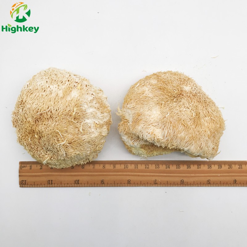 9019 Hou Tou Gu Dia 6-8cm Dried Lion's Mane Mushroom for Health