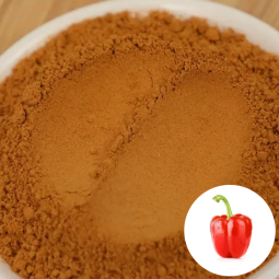 D027P Factory Premium Vegetable Powder 100% Pure Natural Dehydrated Red Bell Pepper Powder