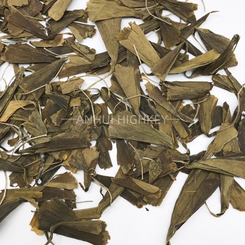 5004 Yin Xing Ye Good Quality Gingko Herbal Tea Loose Leaf Health Dried Ginkgo Biloba Leaf Tea