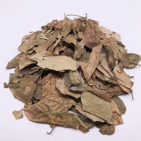 7022 Chi Geng Teng High Quality Wholesale Bulk Dried Gymnema Leaves Herbal Tea Gymnema Sylvestre Leaves