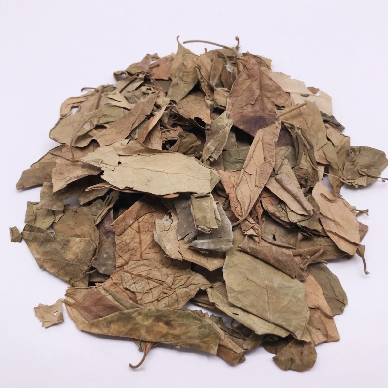 7022 Chi Geng Teng High Quality Wholesale Bulk Dried Gymnema Leaves Herbal Tea Gymnema Sylvestre Leaves