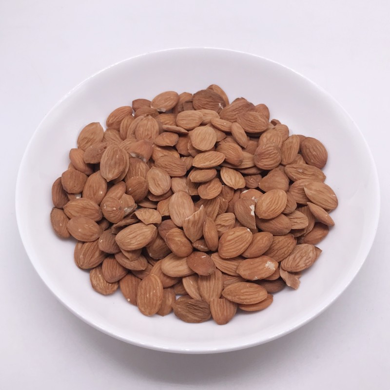 2208 Shan Tao Ren High Quality Peach Semen Shelled Dried Peach Kernel for Sale