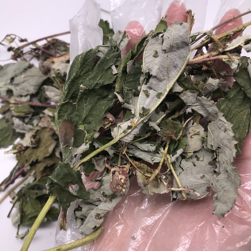 5054 Shu Mei Ye Wholesale High Quality Raspberry Leaves for Herbal Tea Dried Raspberry Leaf Tea