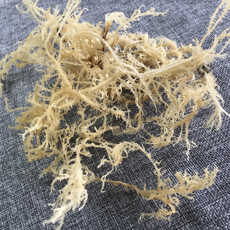 N10 Health Natural Products Delicious Products Dried Sea Moss for Food