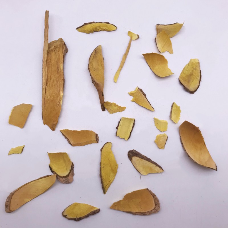 1180 Xiao Bo High Quality Berberis Vulgrais Slices Barberry Root Dried Chinese Herbs Raw Processing Air Dried