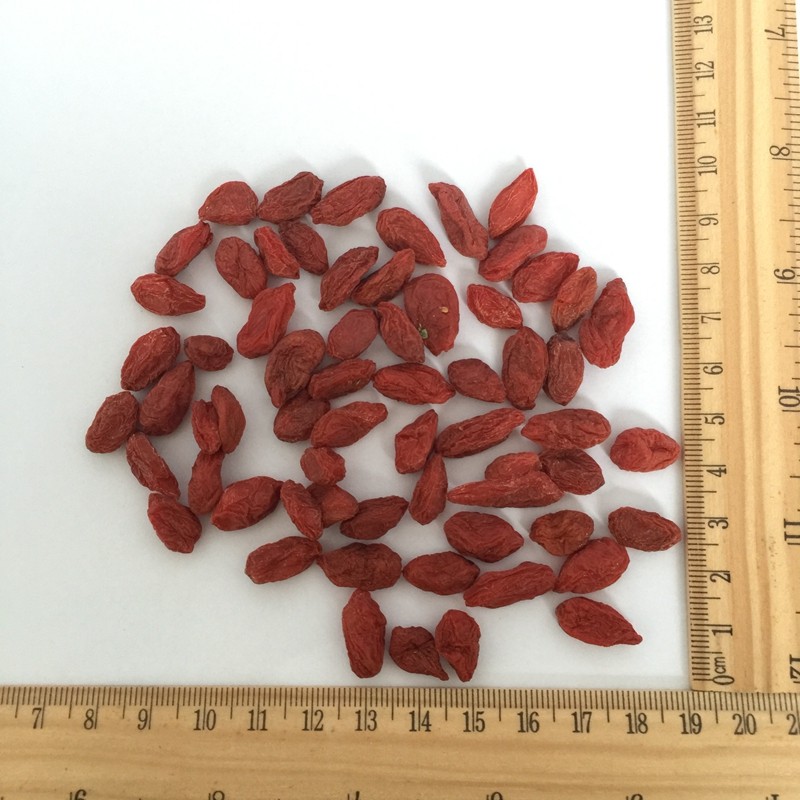 2012 Gou Qi Fresh Gouqi Dried Fruit Goji Berry Fructus Lycii Wolfberry for Food