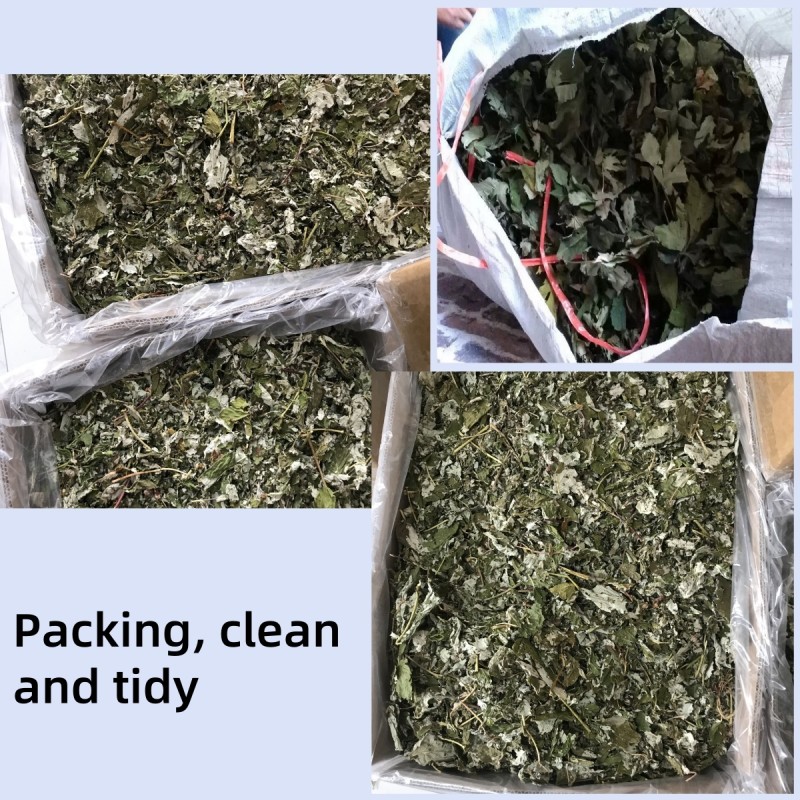 5054 Shu Mei Ye Wholesale High Quality Raspberry Leaves for Herbal Tea Dried Raspberry Leaf Tea