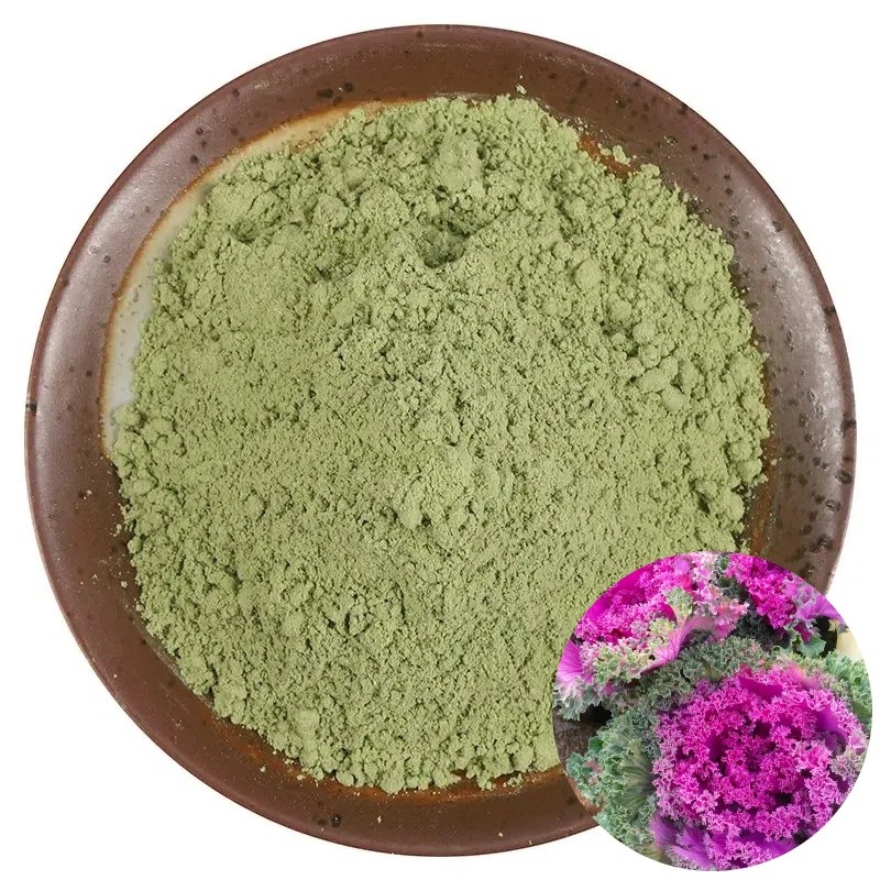 D037P Food Grade Vegetable Kale Powder High Quality Dehydrated Kale Powder