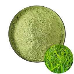 D034P Health Natural Green Barley Grass Powder Wholesale Dehydrated Barley Grass Powder