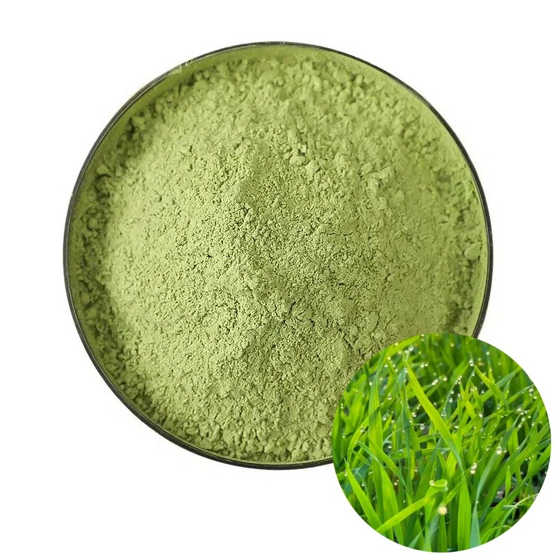 D034P Health Natural Green Barley Grass Powder Wholesale Dehydrated Barley Grass Powder