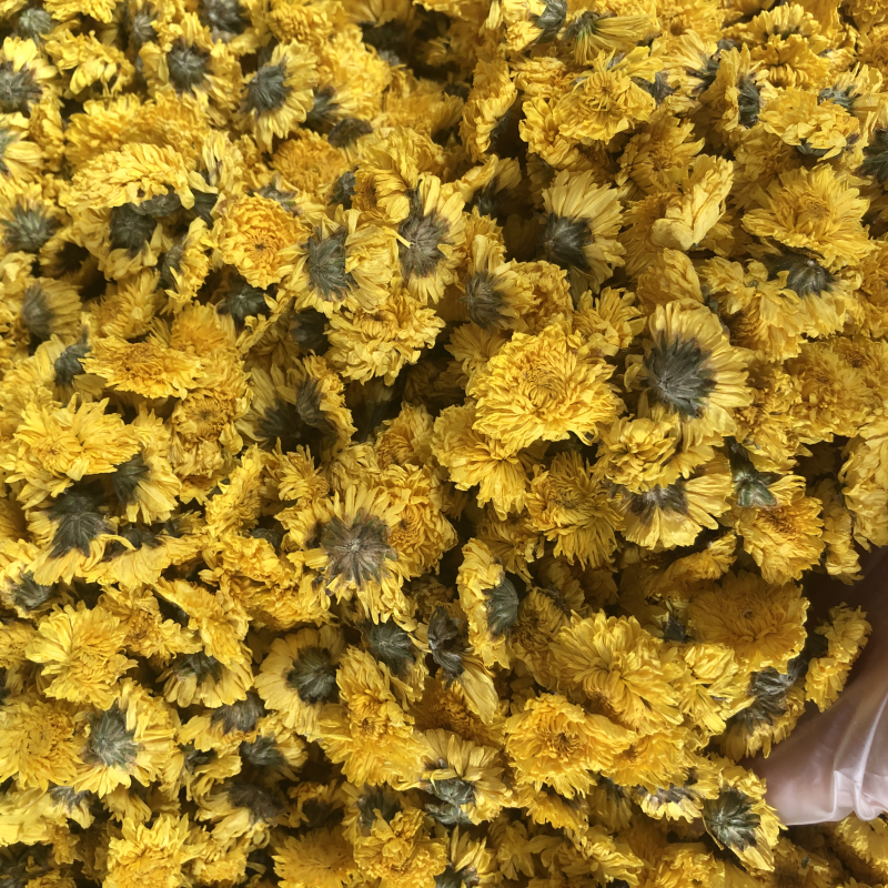 4022W Flavor Tea Soaked 4cm Wuyuan Imperial Chrysanthemum Golden Chrysanthemum Tea Herbal Tea