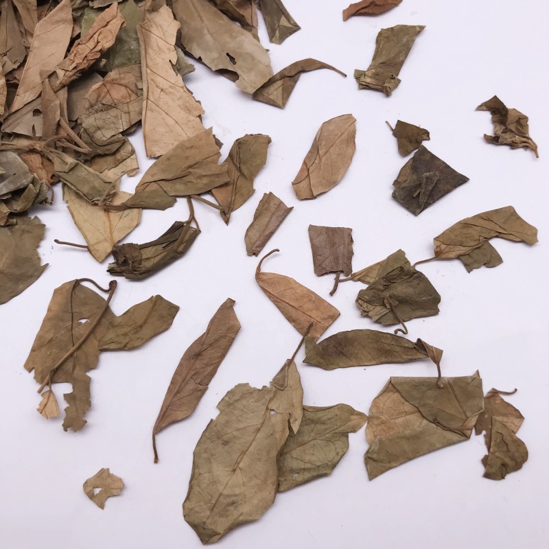 7022 Chi Geng Teng High Quality Wholesale Bulk Dried Gymnema Leaves Herbal Tea Gymnema Sylvestre Leaves