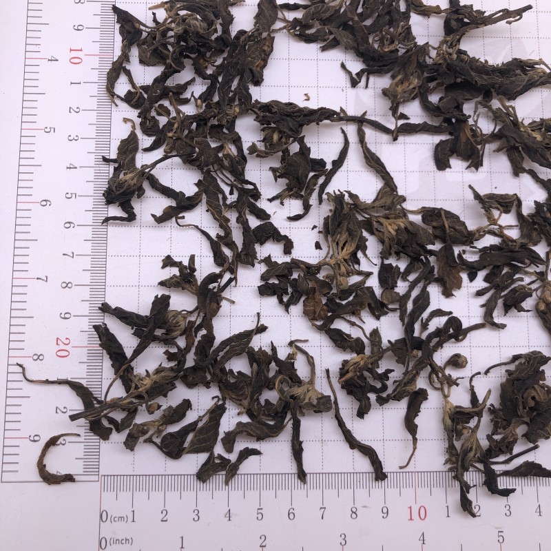 5069 Wild Raw Factory Direct Supply Herbal Tea Damiana Leaf Dried Damiana Leaves