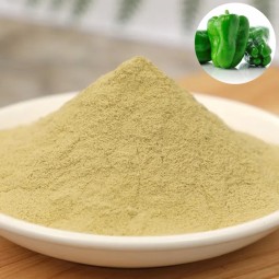 D026P Natural Grade Vegetable Powder Spray Dried Hot Green Chili Powder Natural Dehydrated Green Bell Pepper Powder