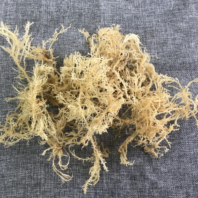 N10 Health Natural Products Delicious Products Dried Sea Moss for Food