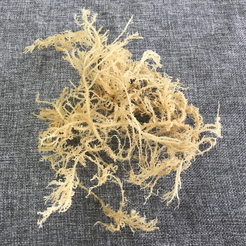 N10 Health Natural Products Delicious Products Dried Sea Moss for Food