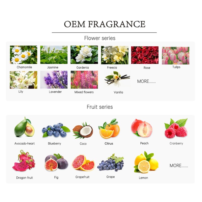 Dehumidifier Box Factory - 600ml Anti-Mildew Desiccant Box