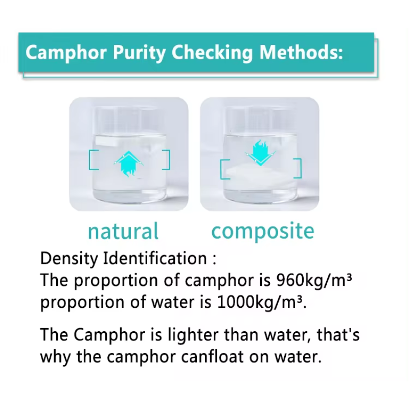 Camphor Tablets Supplier - Multi-Purpose Household Insect Repellent
