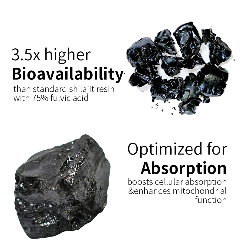 Shilajit Capsules Factory - Skin Brightening Sleep Support