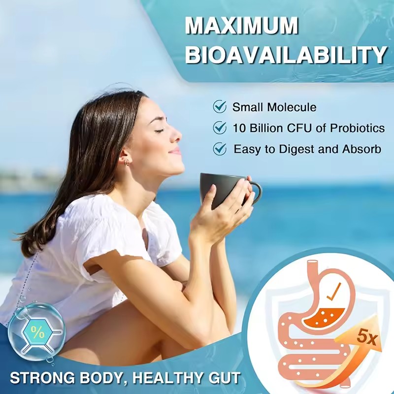 Omega 3 Softgels Supplier - EPA DHA Immune System