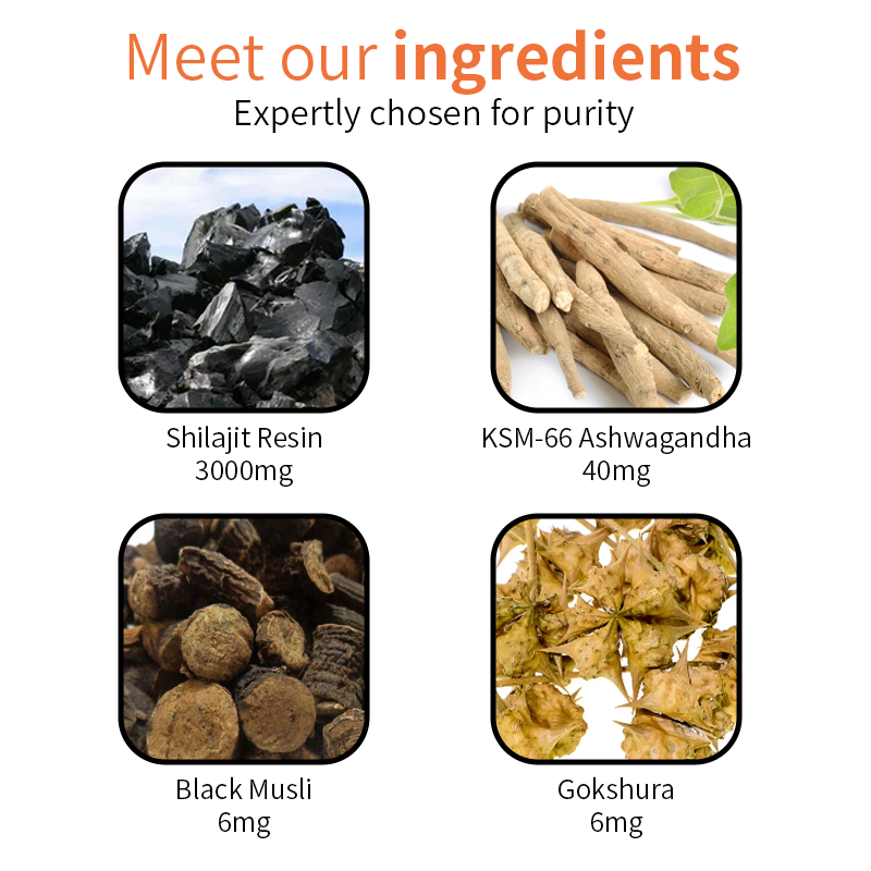 Shilajit Capsules Factory - Skin Brightening Sleep Support