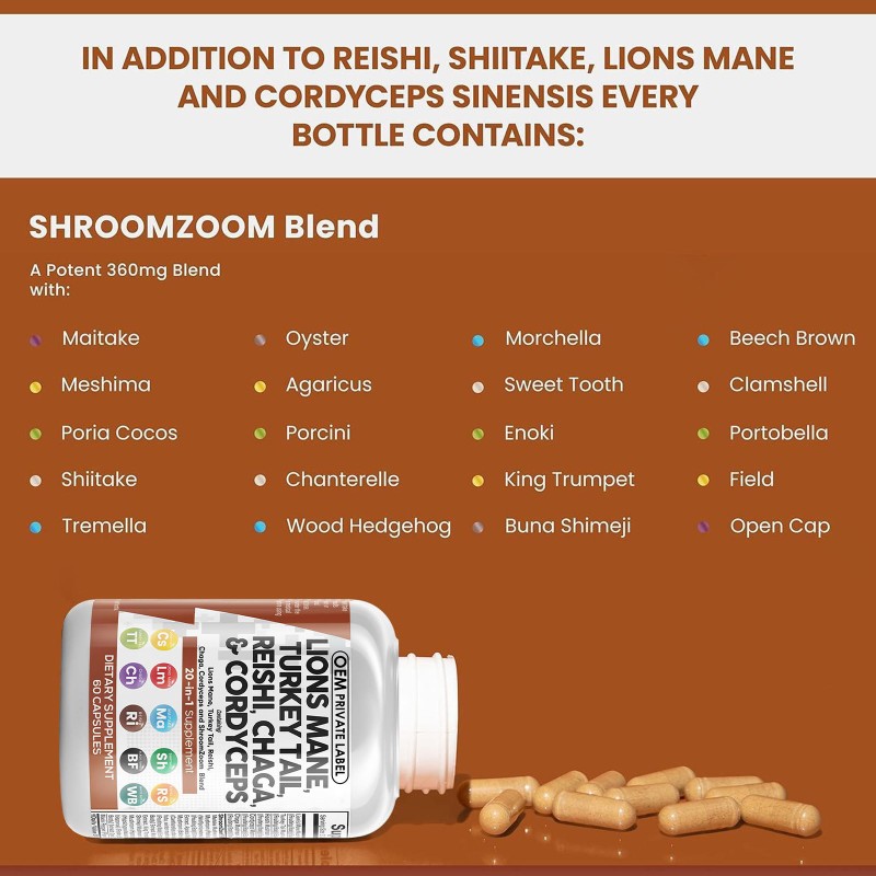 Lions Mane Capsules Manufacturer - Mushroom Complex Focus
